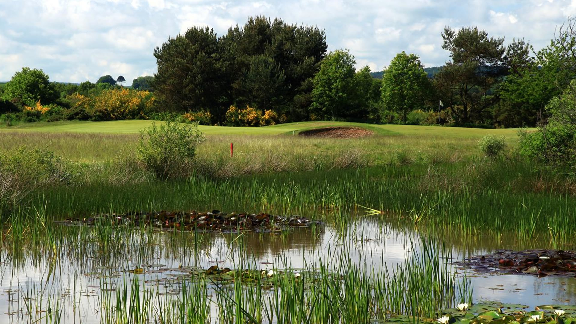 Carnoustie GC, Buddon Course Gallery Image 4